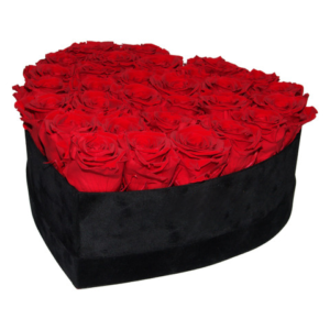 Flower box w kształcie serca z czerwonymi różami na białym tle.